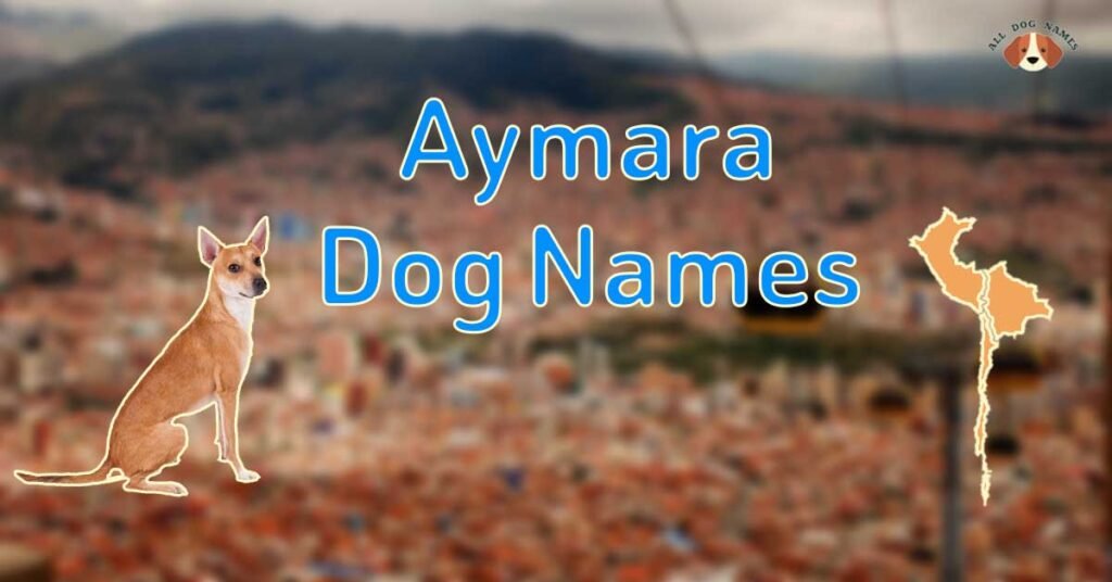 Aymara Dog Names, Aymara Unique dog names
