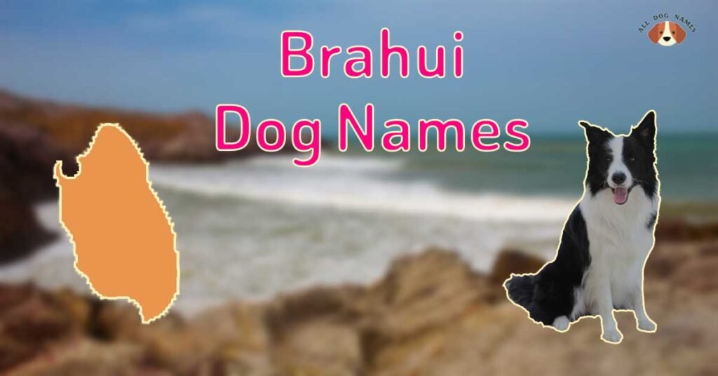 Brahui Dog Names