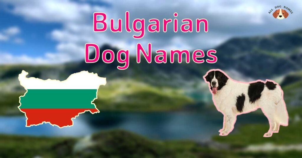 Bulgarian Dog Names