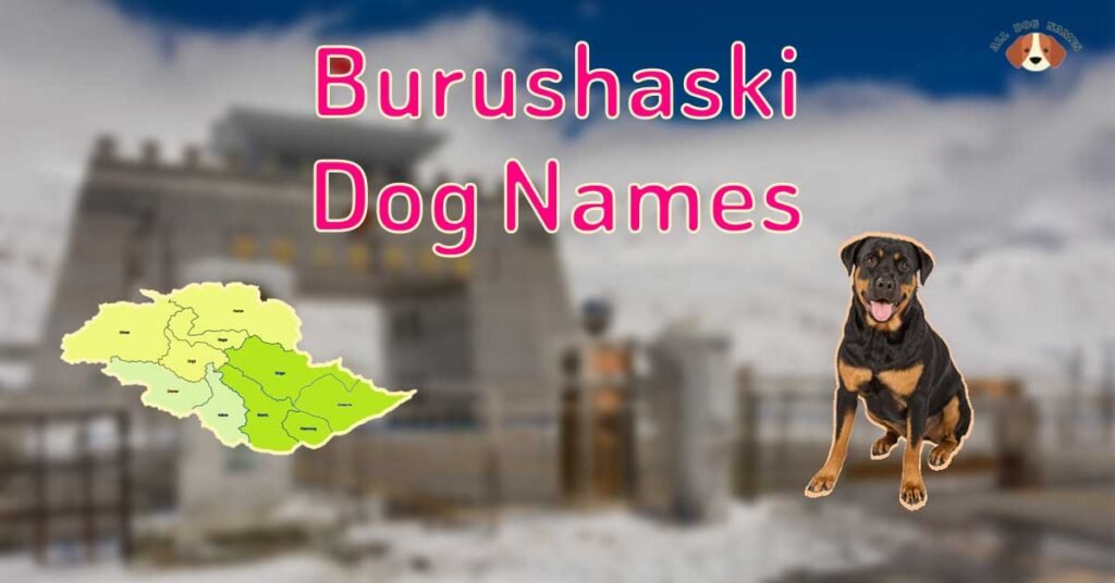 
Burushaski Dog Names, Unique and Meaningful Names from Gilgit-Baltistan
