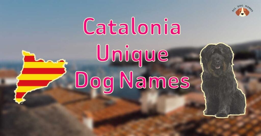 Catalonia Unique Dog Names